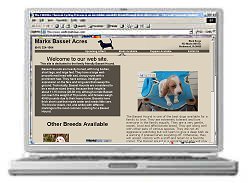 Marks Basset Acres